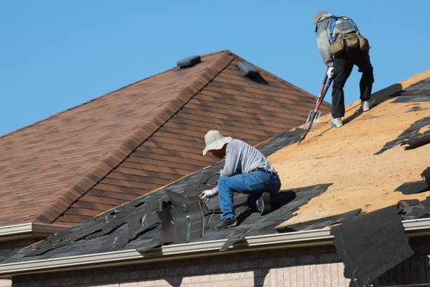 Roof Restoration in Pioche, NV